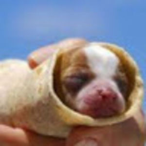 Meet your Posher, Sonia